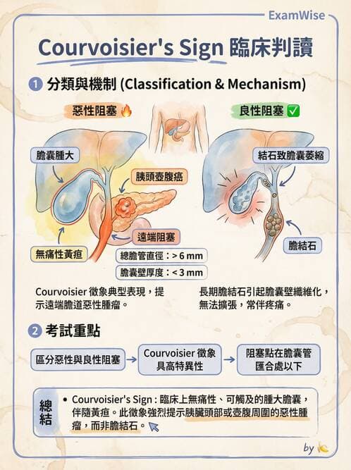 專師 - 膽道與胰臟 - AI 圖文解析預覽