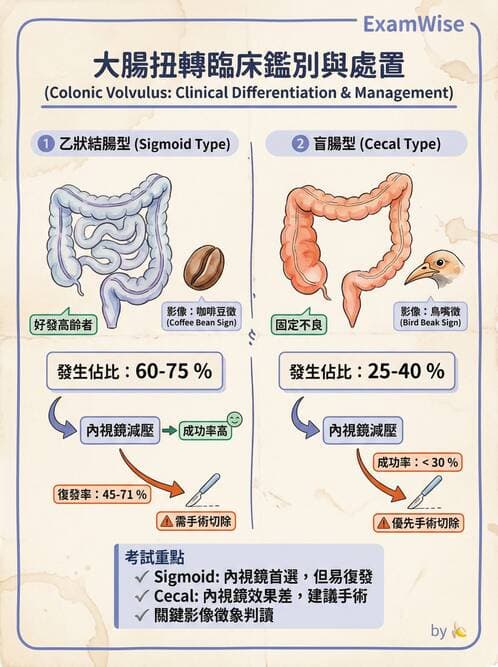 專師 - 闌尾炎與腸道外科 - AI 圖文解析預覽