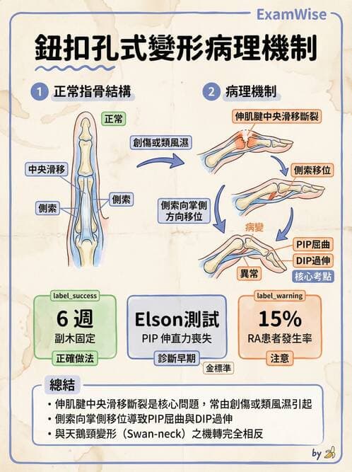 專師 - 上肢與手部疾病 - AI 圖文解析預覽