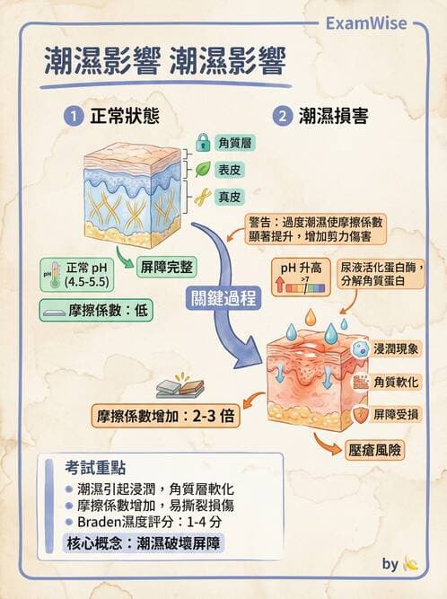 專師 - 壓瘡與慢性潰瘍 - AI 圖文解析預覽