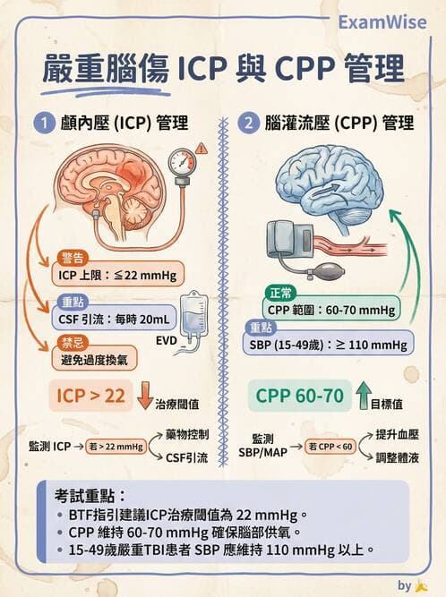 專師 - 頭部外傷與顱內壓 - AI 圖文解析預覽