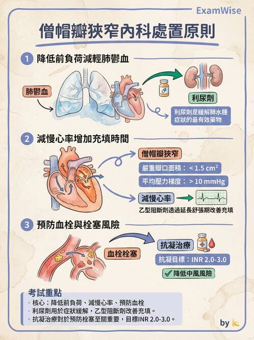 專師 - 心臟外科與介入 - AI 圖文解析預覽