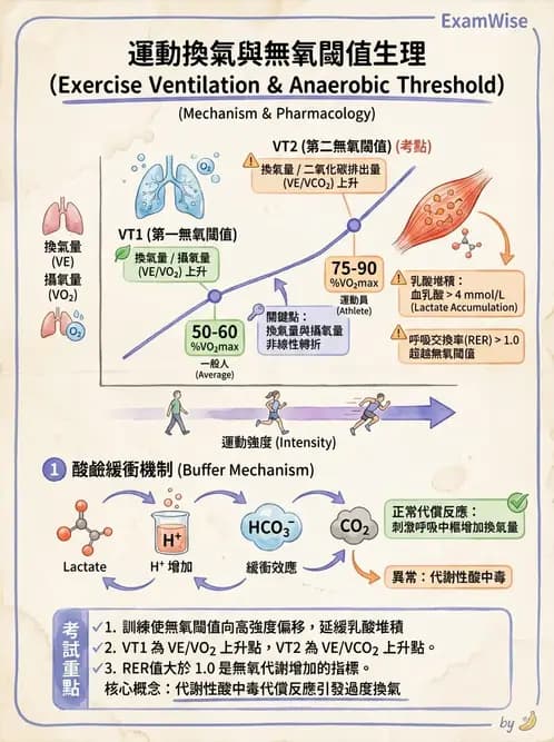 物治 - 運動生理學與能量代謝 - AI 圖文解析預覽