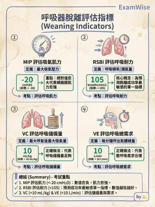 物治 - 胸腔手術、肺移植與呼吸器 - AI 圖文解析預覽
