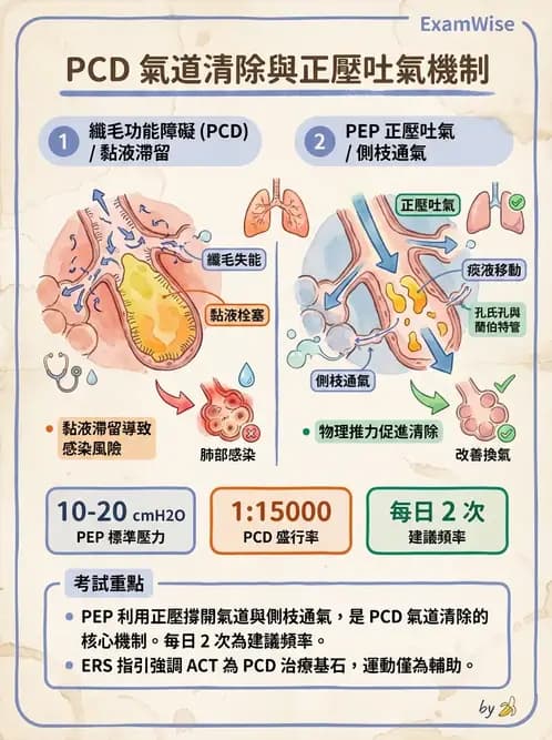 物治 - 氣道廓清與呼吸訓練技術 - AI 圖文解析預覽