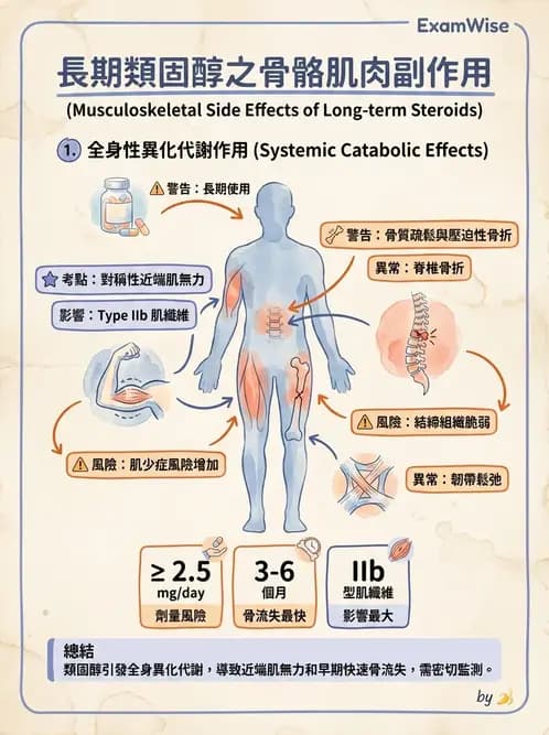 物治 - 心臟藥物、輔助裝置與周邊血管 - AI 圖文解析預覽