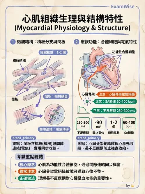 物治 - 循環解剖、生理與血流動力學 - AI 圖文解析預覽