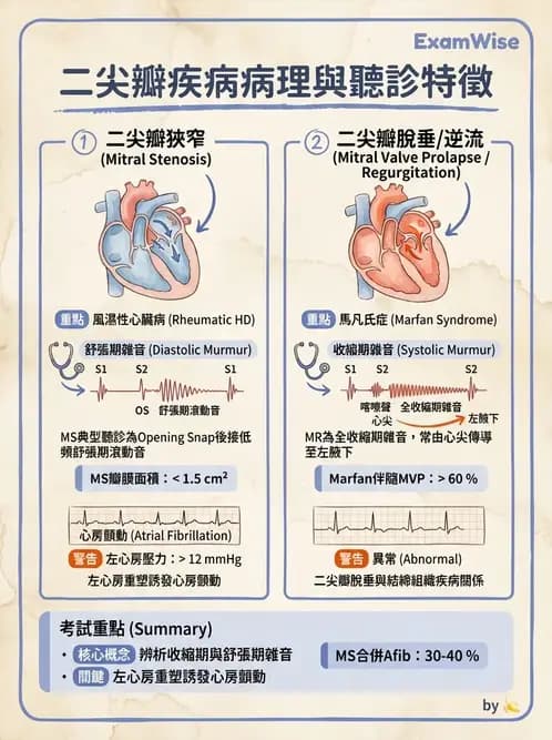 物治 - 冠狀動脈疾病與心臟手術 - AI 圖文解析預覽