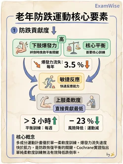 物治 - 特殊族群運動處方與健康促進 - AI 圖文解析預覽