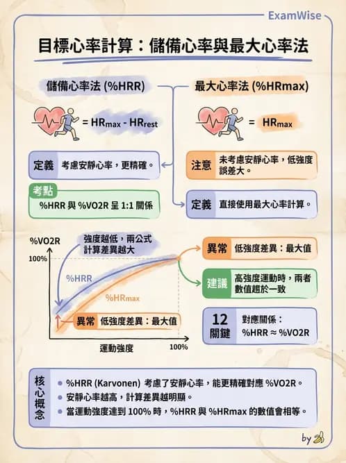 物治 - 運動篩檢與處方設計 - AI 圖文解析預覽