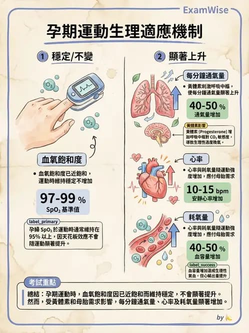 物治 - 特殊族群運動處方與健康促進 - AI 圖文解析預覽