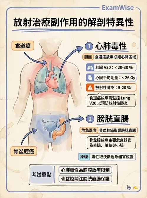 物治 - 癌症物理治療 - AI 圖文解析預覽