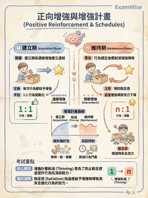 物治 - 智能障礙與基因症候群 - AI 圖文解析預覽
