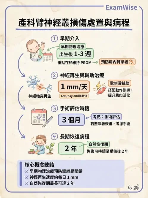 物治 - 小兒肌肉骨骼疾患物理治療 - AI 圖文解析預覽