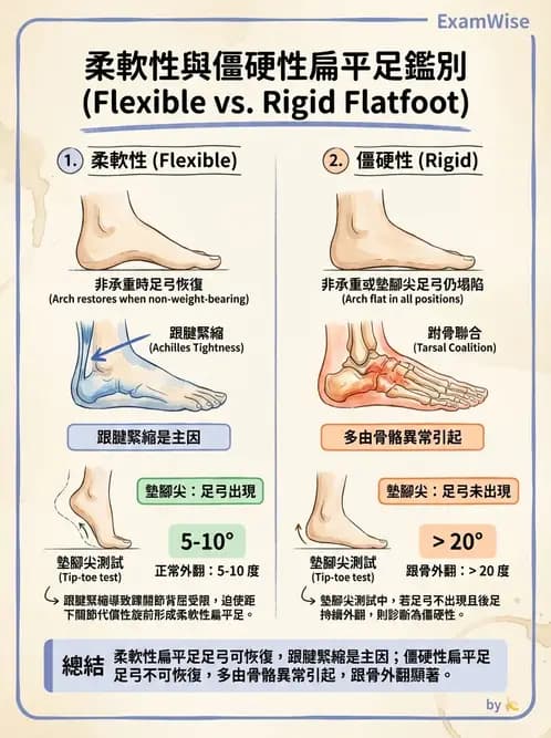 物治 - 小兒肌肉骨骼疾患物理治療 - AI 圖文解析預覽