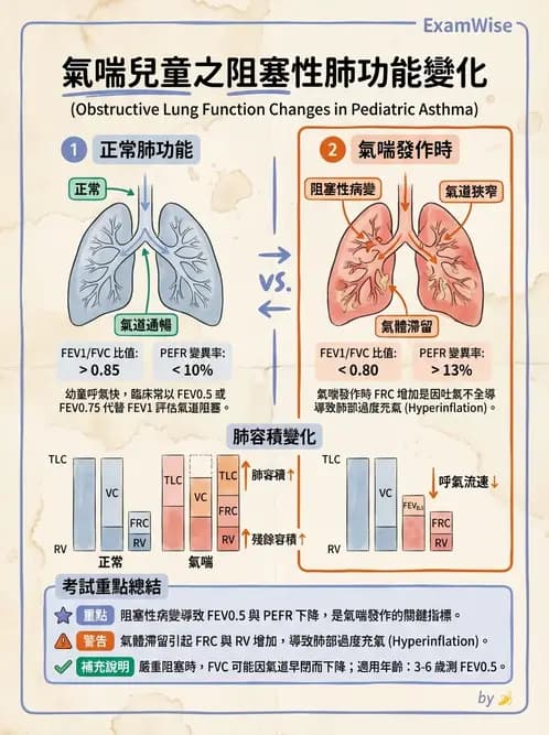 物治 - 小兒呼吸疾患與NICU物理治療 - AI 圖文解析預覽