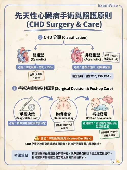 物治 - 小兒心臟、癌症與外傷物理治療 - AI 圖文解析預覽