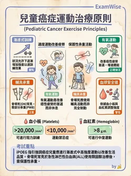物治 - 小兒心臟、癌症與外傷物理治療 - AI 圖文解析預覽