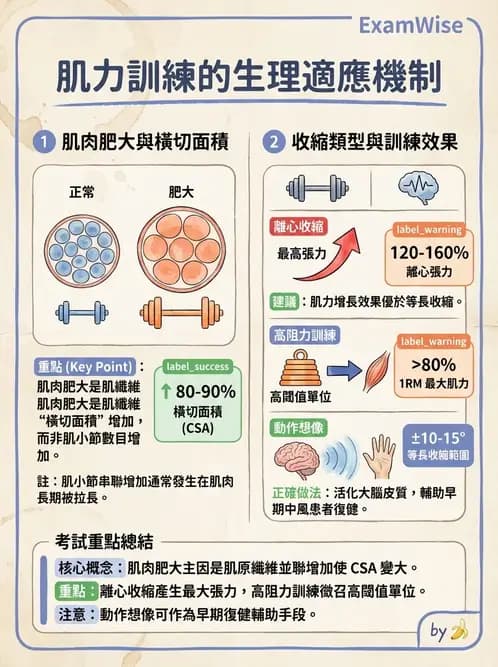 物治 - 肌肉力學與感覺運動控制 - AI 圖文解析預覽