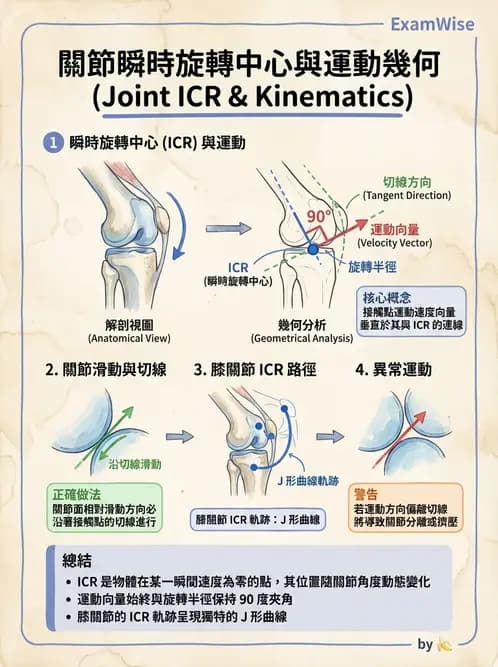 物治 - 關節運動學與生物力學計算 - AI 圖文解析預覽