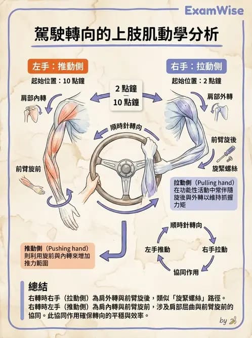 物治 - 日常功能動作與工效學 - AI 圖文解析預覽