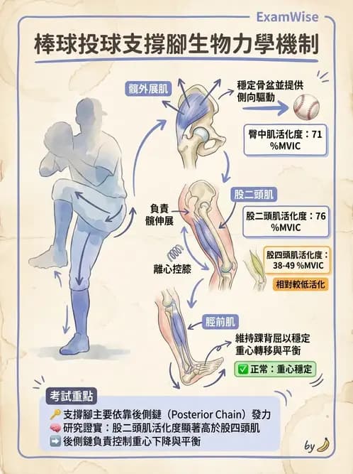 物治 - 競技運動與肌力訓練動作分析 - AI 圖文解析預覽