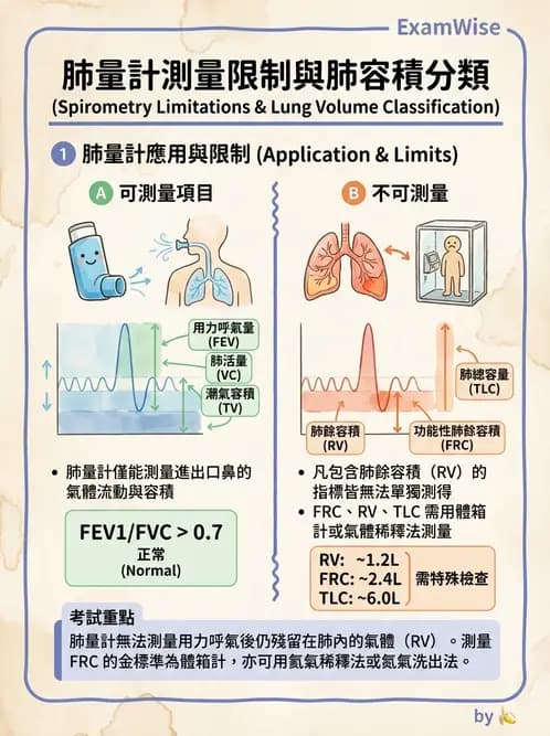 物治 - 心肺系統疾病 - AI 圖文解析預覽