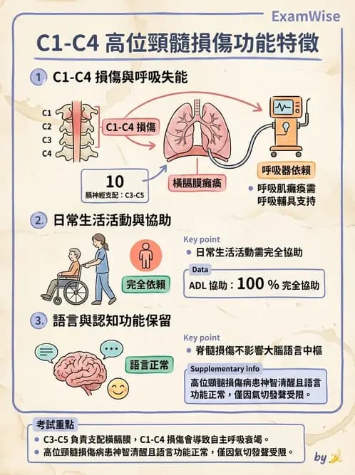 物治 - 脊髓與周邊神經疾病 - AI 圖文解析預覽