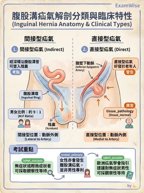 物治 - 腫瘤與其他臨床醫學 - AI 圖文解析預覽