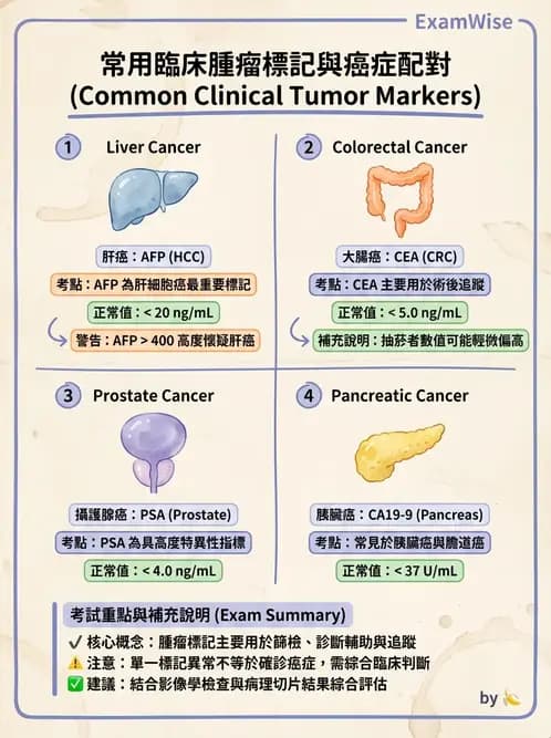 物治 - 腫瘤與其他臨床醫學 - AI 圖文解析預覽