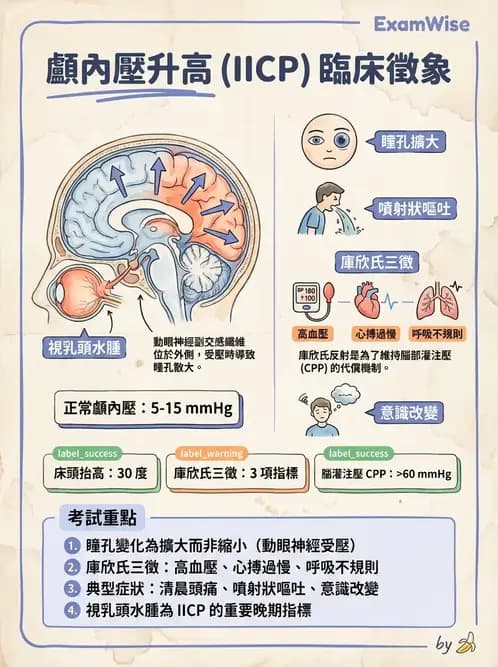 物治 - 腦血管疾病與腦外傷 - AI 圖文解析預覽