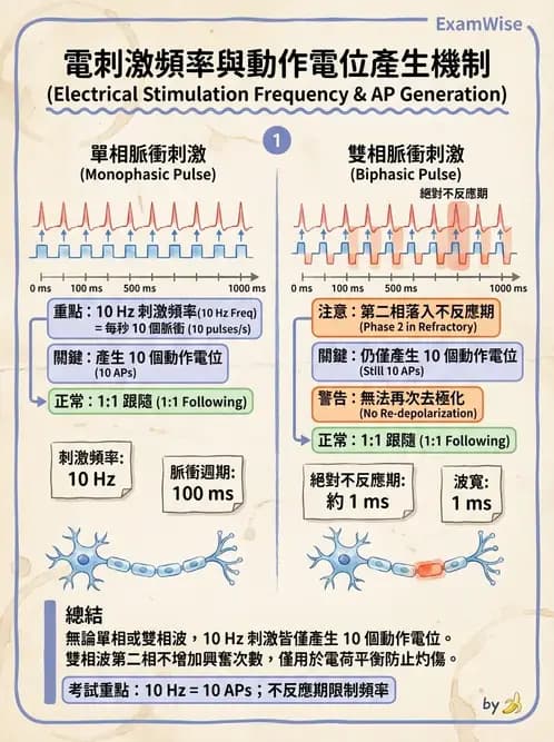 物治 - 經皮電刺激與電療基礎 - AI 圖文解析預覽