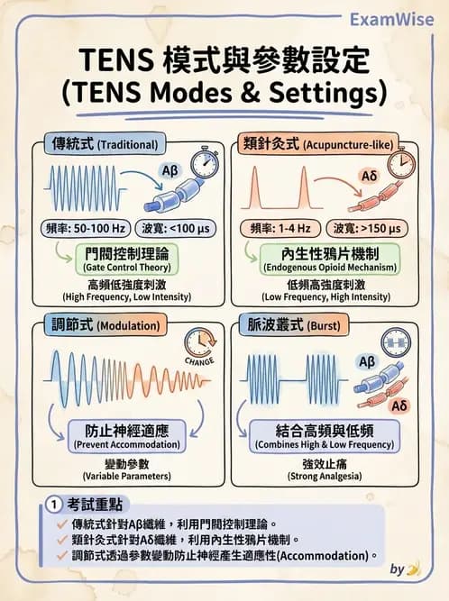物治 - 經皮電刺激與電療基礎 - AI 圖文解析預覽