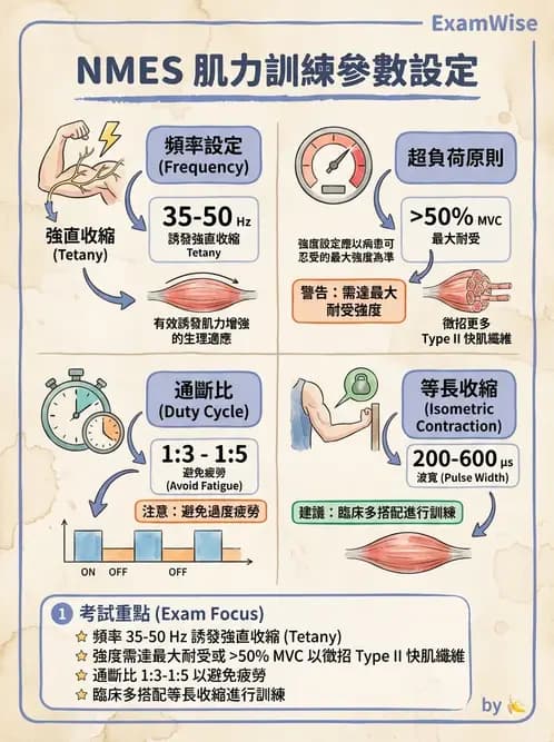 物治 - 神經肌肉電刺激 - AI 圖文解析預覽