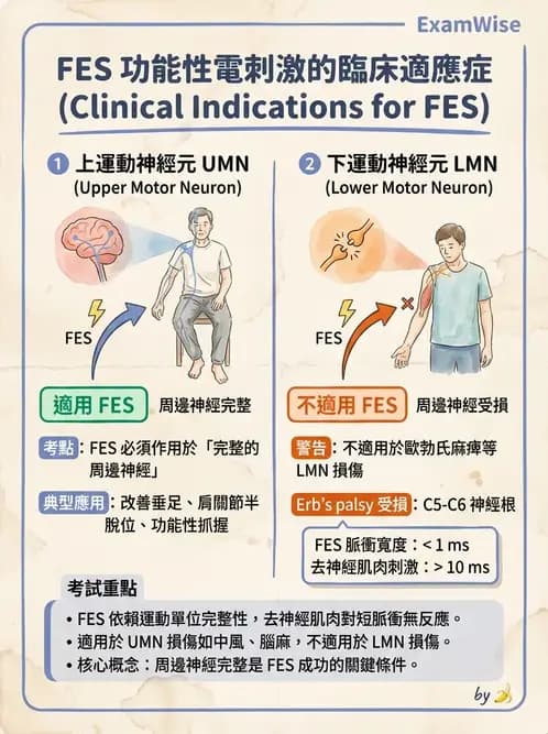 物治 - 功能性電刺激 - AI 圖文解析預覽