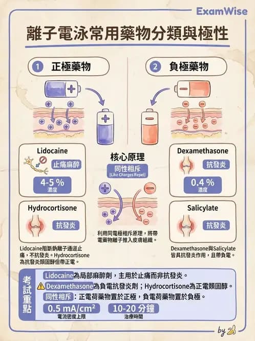 物治 - 離子導入法 - AI 圖文解析預覽