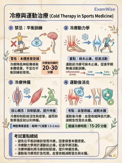 物治 - 溫度療法 - AI 圖文解析預覽