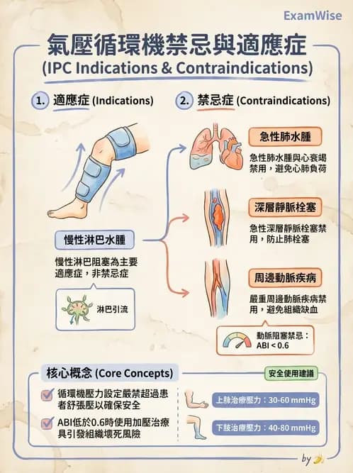 物治 - 力學因子 - AI 圖文解析預覽