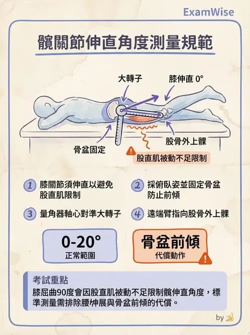 物治 - 下肢與脊椎關節活動度 - AI 圖文解析預覽