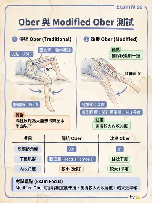物治 - 下肢與脊椎關節活動度 - AI 圖文解析預覽