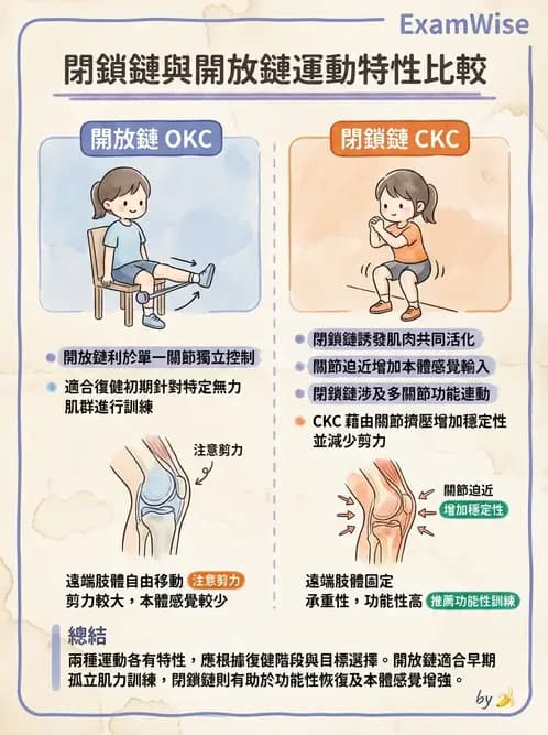 物治 - 肌力訓練方法 - AI 圖文解析預覽