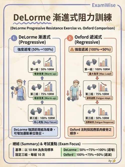 物治 - 漸進式阻力訓練 - AI 圖文解析預覽