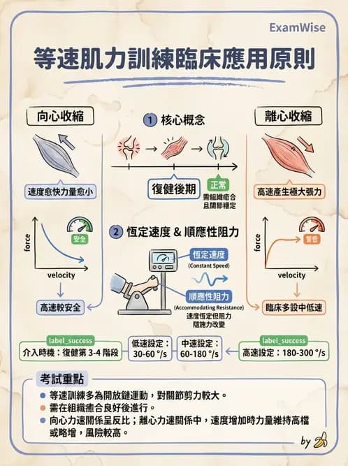 物治 - 肌力訓練方法 - AI 圖文解析預覽