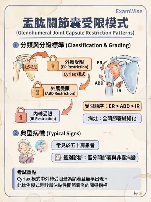 物治 - 鬆動術基礎概念與原則 - AI 圖文解析預覽