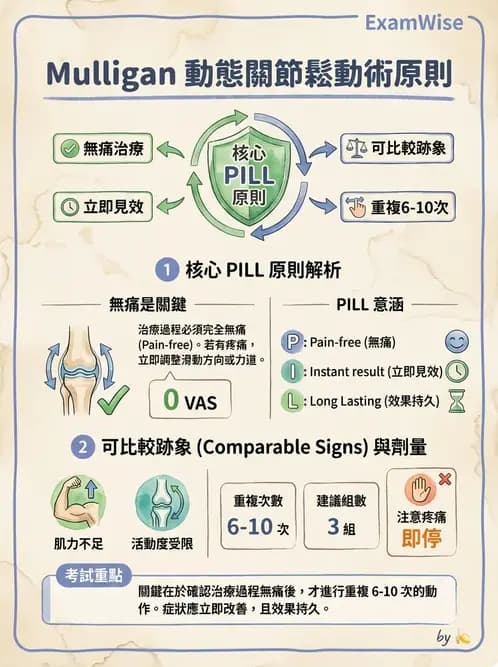 物治 - 鬆動術臨床應用 - AI 圖文解析預覽