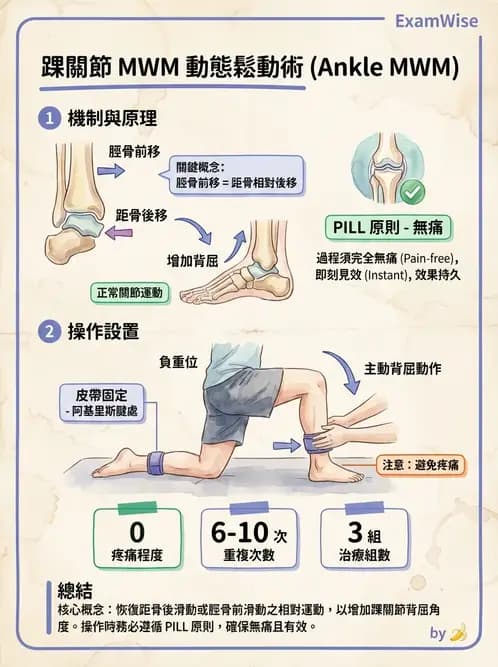 物治 - 鬆動術臨床應用 - AI 圖文解析預覽