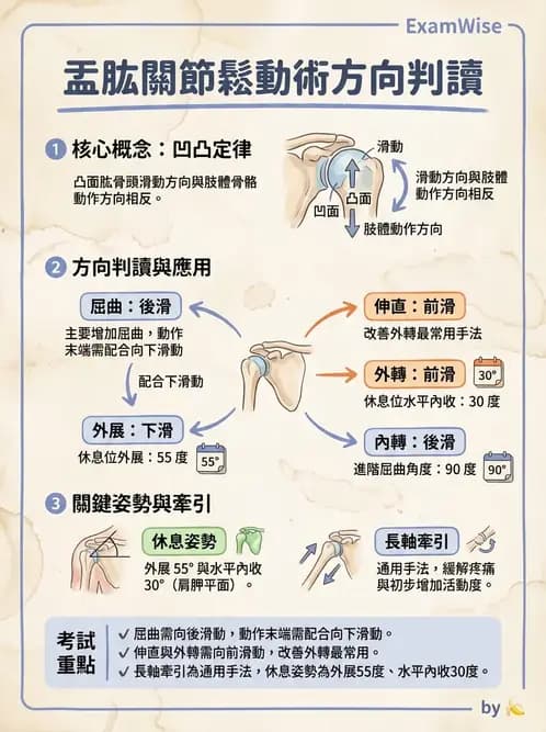 物治 - 鬆動術臨床應用 - AI 圖文解析預覽