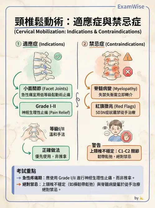 物治 - 鬆動術基礎概念與原則 - AI 圖文解析預覽