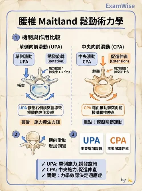 物治 - 脊椎鬆動術 - AI 圖文解析預覽