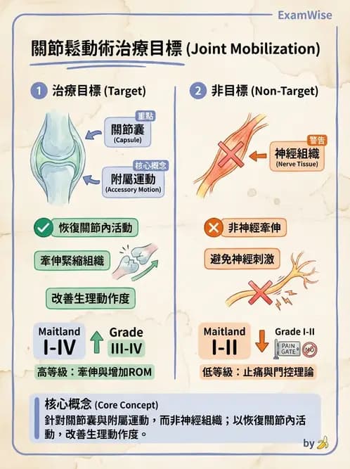 物治 - 鬆動術基礎概念與原則 - AI 圖文解析預覽